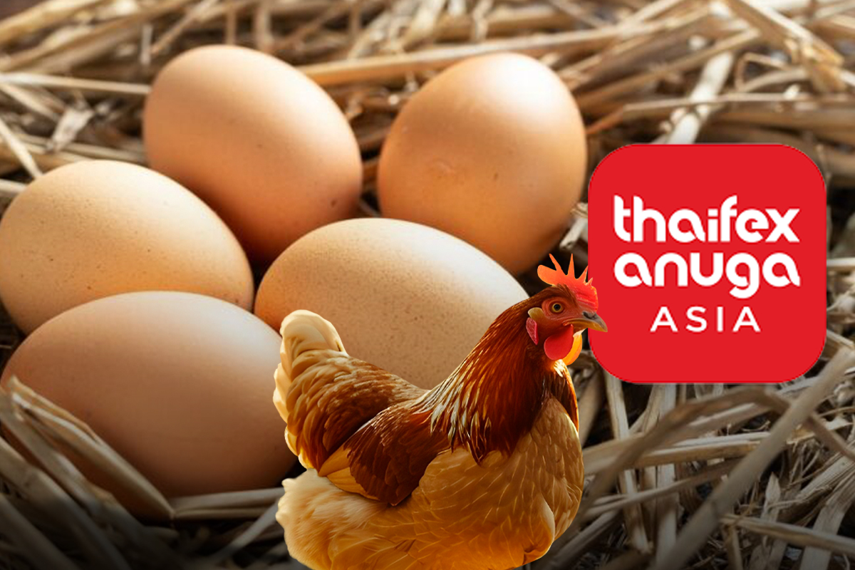 ยักษ์ไข่ไก่ปลุกแบรนด์อัครา ผนึกญี่ปุ่นบุกใหญ่ไทยเฟ็กซ์