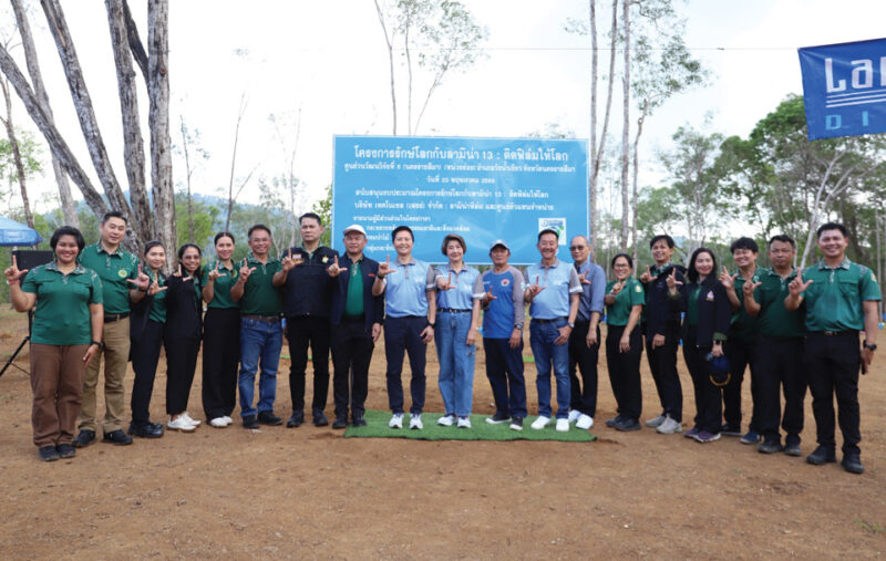 17-pok lamena