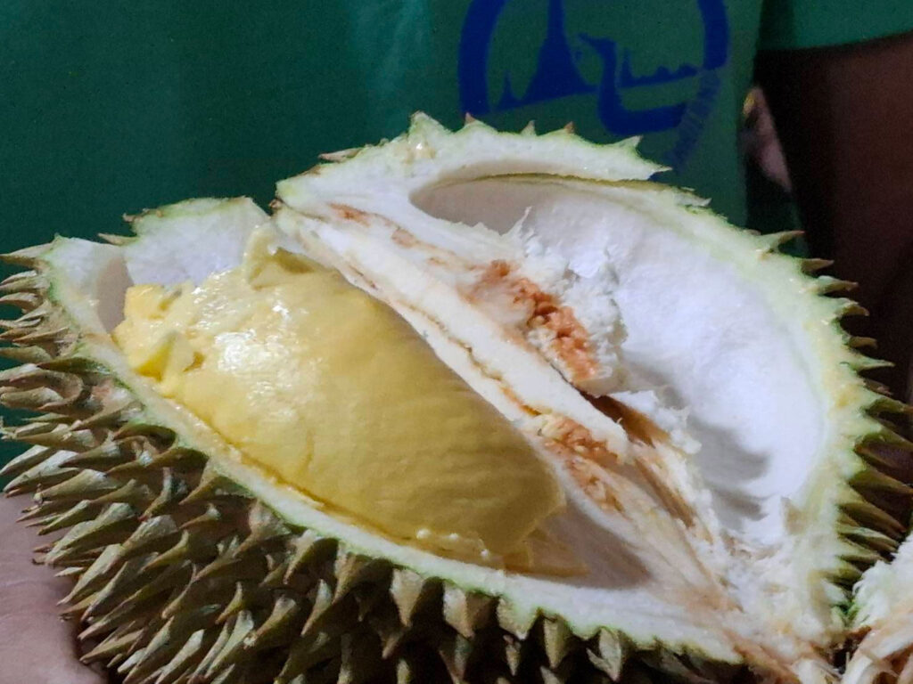 พังงา