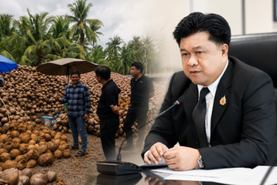 พาณิชย์จับมือโรงงานกะทิ รับซื้อมะพร้าวเพิ่ม 2.5 ล้านลูก