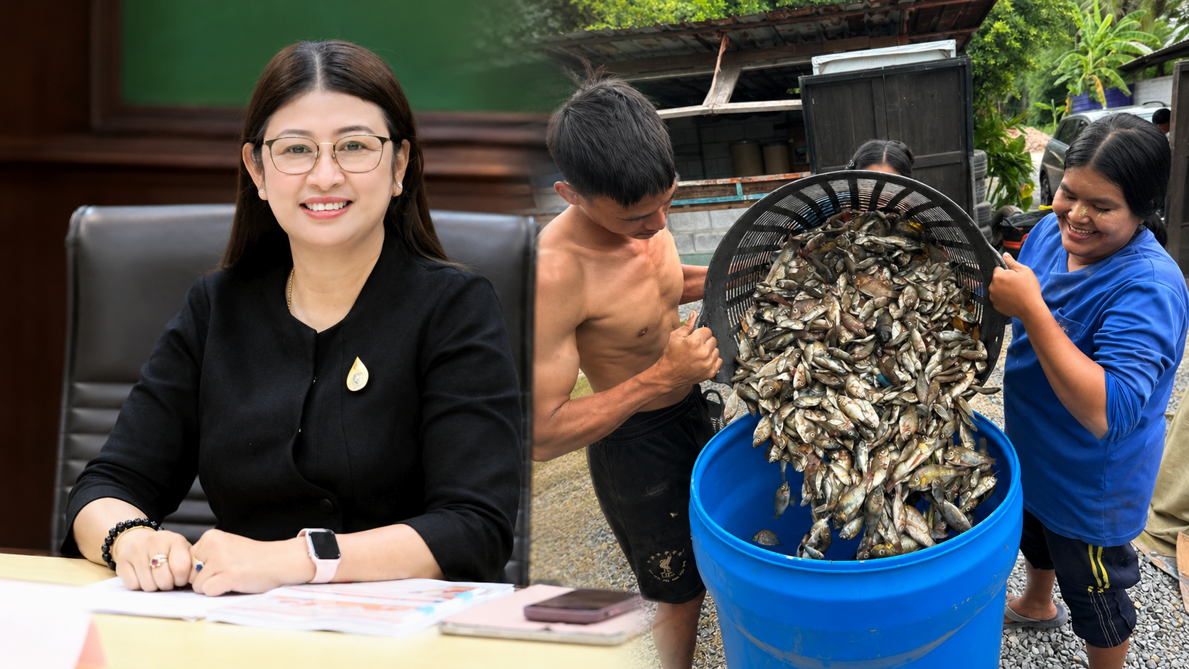 ปลาหมอคางดำถูกกำจัดแล้ว 8.3 ล้านกิโล กรมประมงเร่งฟื้นระบบนิเ