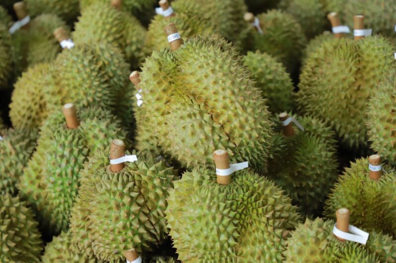 ทุเรียน