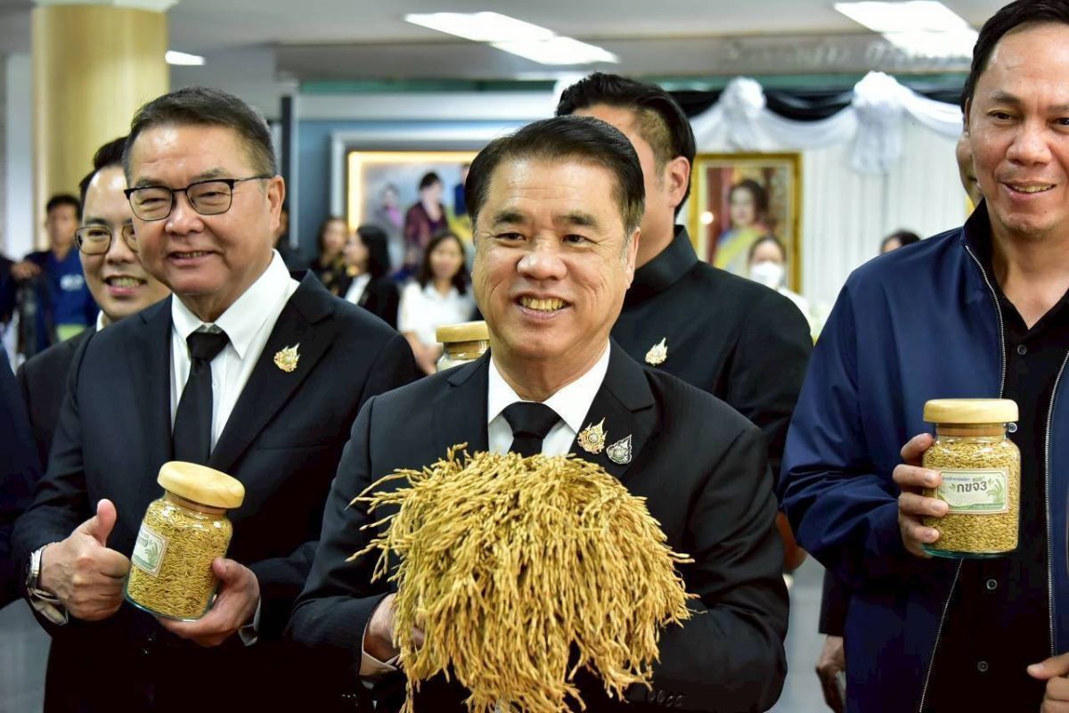 ข่าว