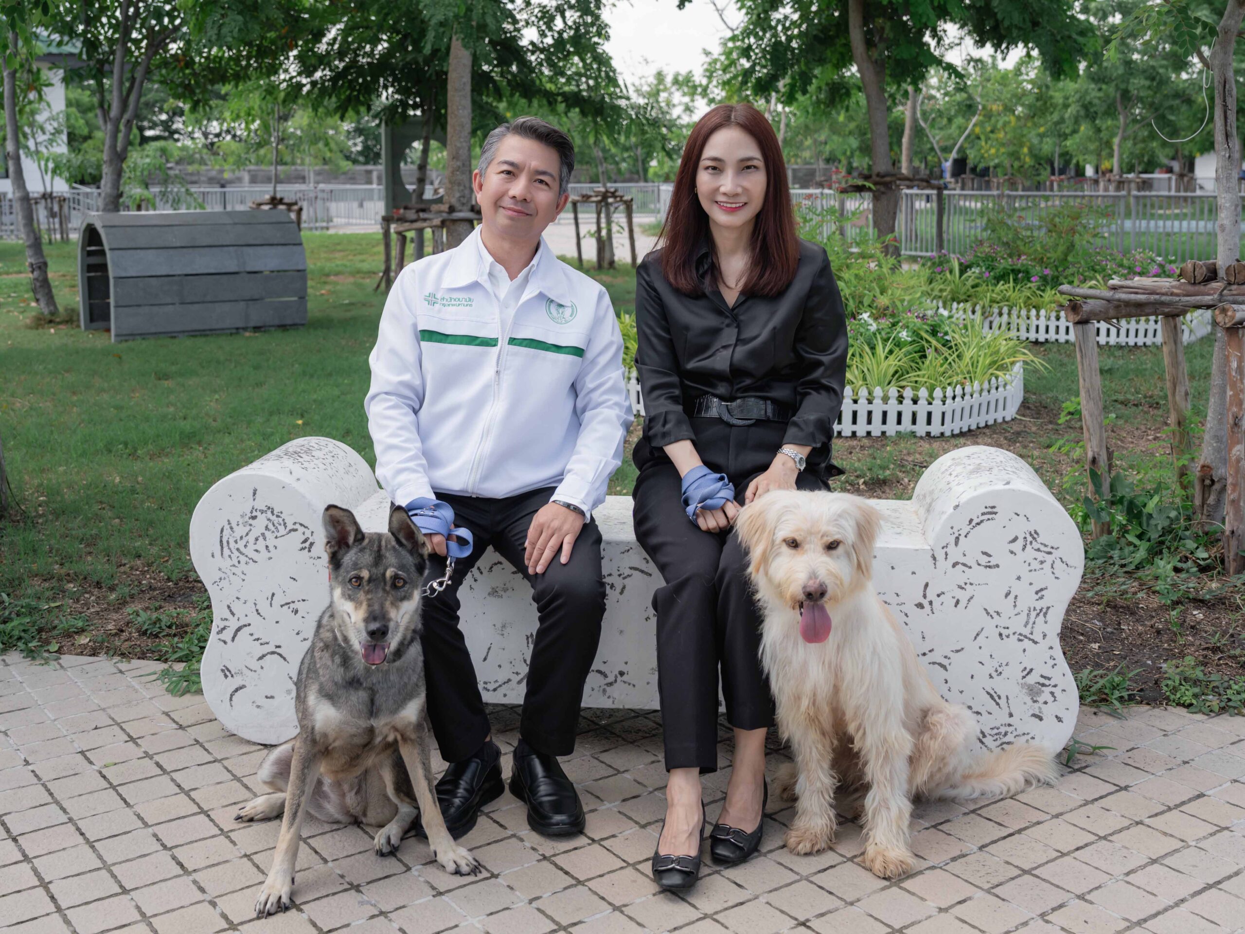 ข่าว
