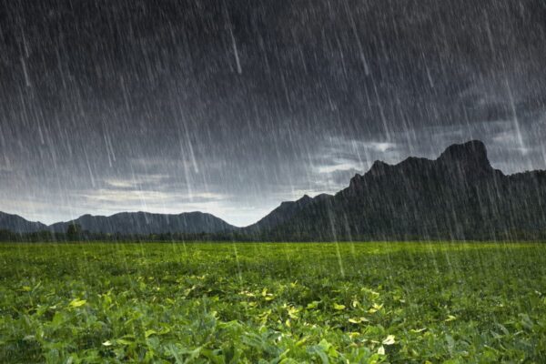 พยากรณ์อากาศ (10 มิ.ย.) เตือนฝนเพิ่มทั่วไทย อีสานตอนบนเสี่ยงฝนหนักมากบางพื้นที่
