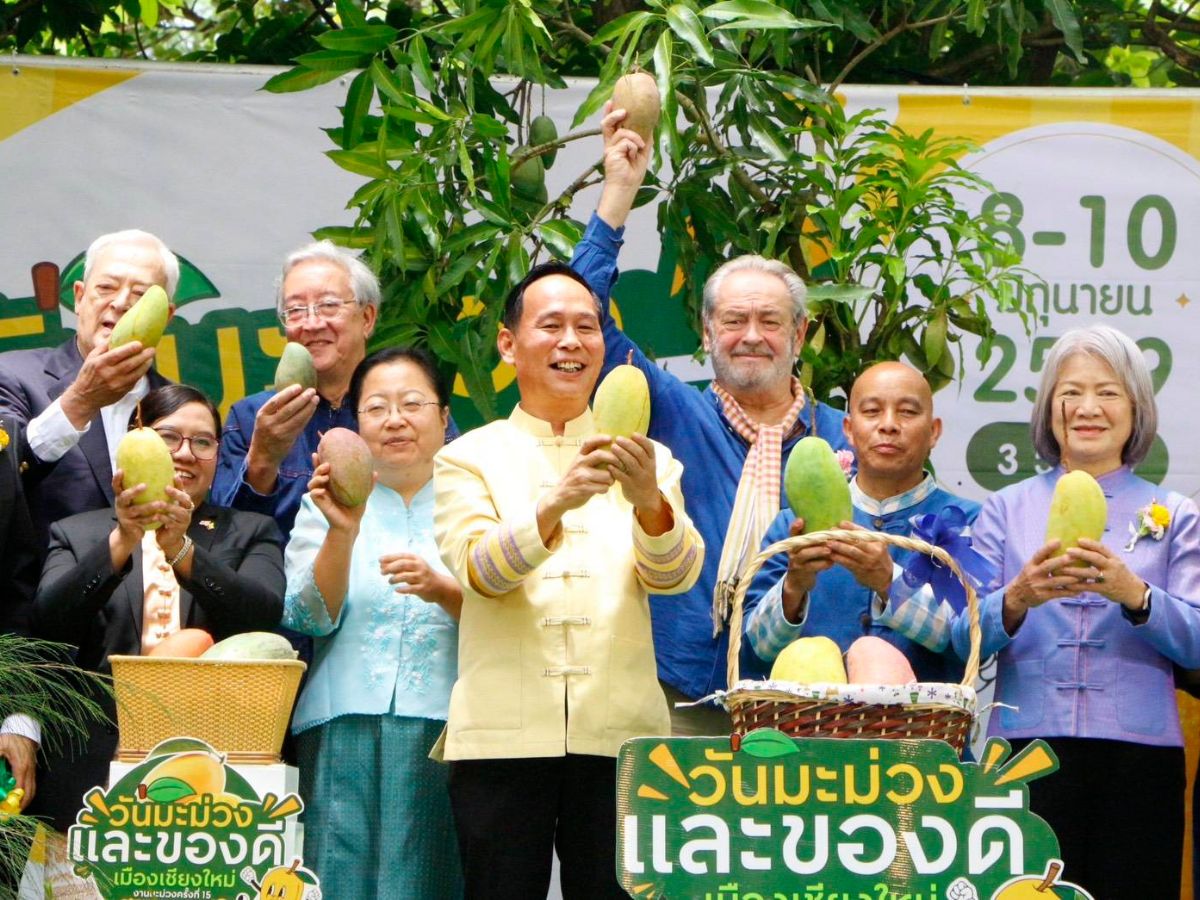 เปิดฉากวันมะม่วงเชียงใหม่ครั้งที่ 15 ชู ‘มะม่วงหล้าฤดู’ ทำเง