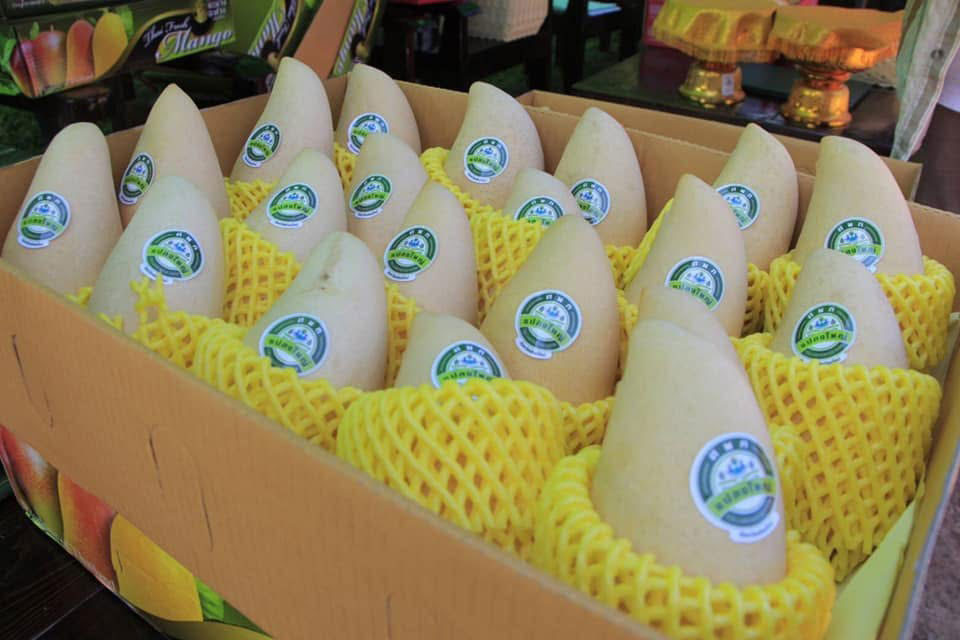 ผลไม้