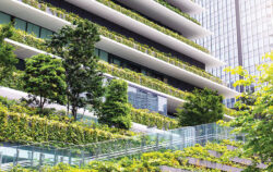 Green Building Certification จากทางเลือก สู่ความจำเป็นในการอยู่รอดของอาคารเชิงพาณิชย์ไทย