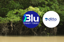 Blu Green Token เข้าเทรดวันแรกเหนือจอง DITTO หวังระดมทุน 480ล้าน