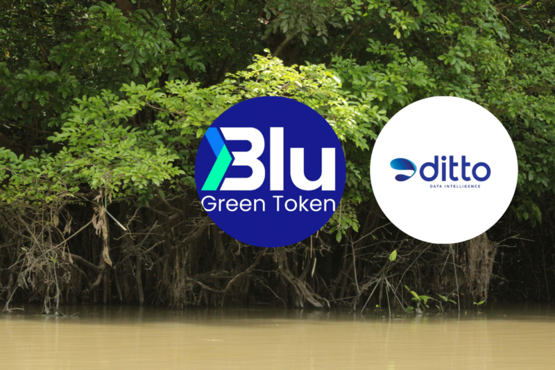 Blu Green Token เข้าเทรดวันแรกเหนือจอง DITTO หวังระดมทุน 480ล้าน