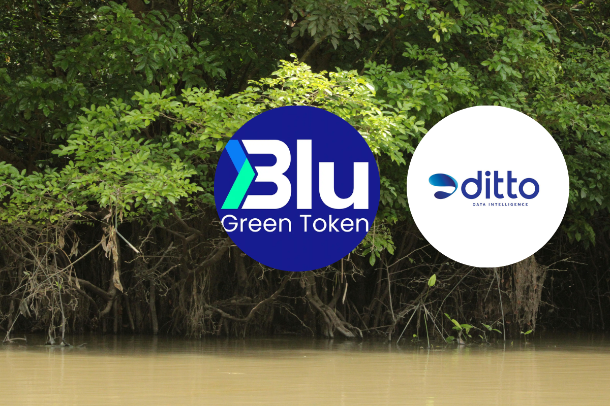 Blu Green Token เข้าเทรดวันแรกเหนือจอง DITTO หวังระดมทุน 480ล้าน