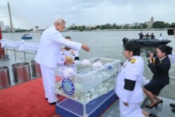 โปรดเกล้าฯ ประธานองคมนตรี บำเพ็ญพระราชกุศล ปล่อยโค นก ปลา วันเฉลิมพระชนมพรรษา