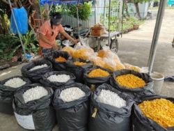 SACIT ดัน Waste to Craft เปลี่ยนเศษรังไหมเป็นสินค้าสร้างมูลค่า เพิ่มรายได้ชุมชน