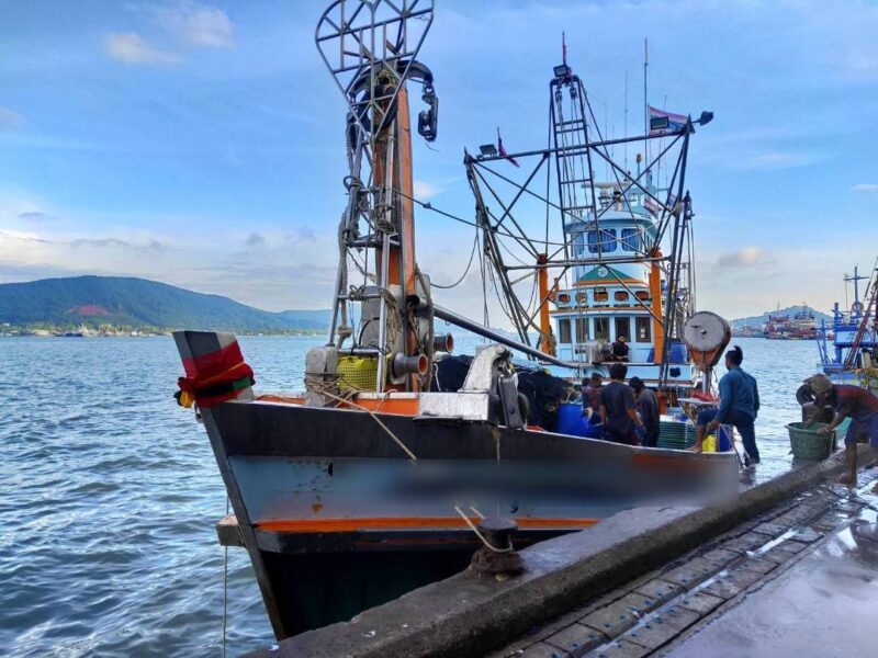 ม.301 สหรัฐบีบประมงไทย “กุ้ง” เสี่ยงเสียเปรียบราคา กรมประมงชี้ “ทูน่า” ยังแกร่ง