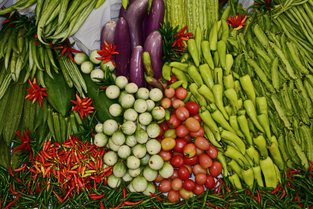 ผวา! สารพิษทะลักแม่น้ำกก พบโลหะหนักปนเปื้อนพืช 21 ชนิด สภาผู้บริโภคฉะผลตรวจช้า 8 เดือน