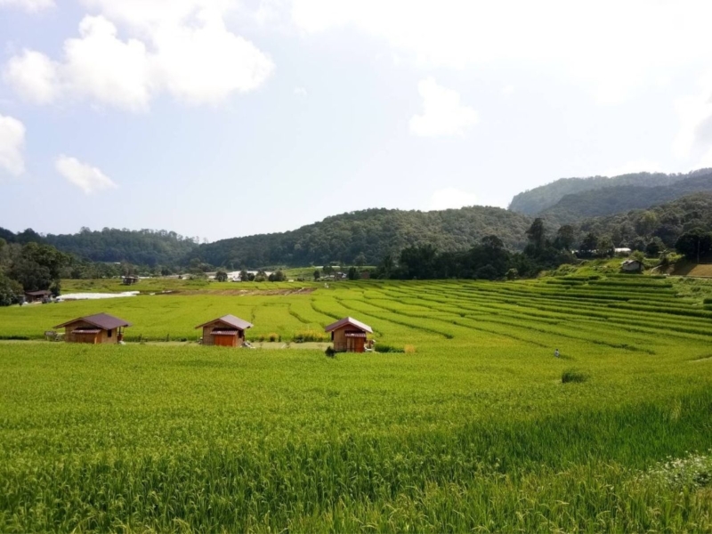 ททท. ชูโมเดล Chiang Mai Prototype สู้ฝุ่น PM2.5 ดันภาคเหนือ Green Destination