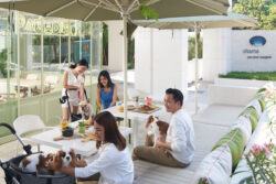 “ชามา” จัดเต็มเซอร์วิสอพาร์ตเมนต์ ทำเลเด่นทั่วกรุง เจาะตลาดเทรนด์คนทำงานยุคใหม่