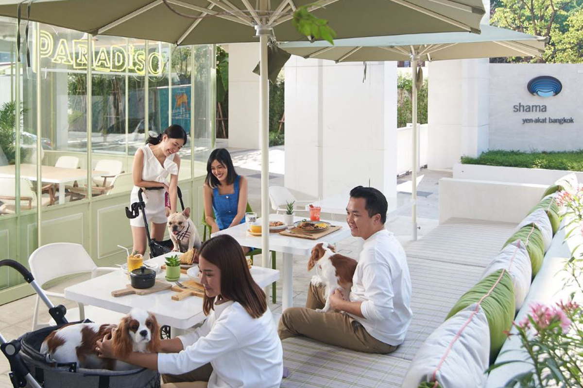 “ชามา” จัดเต็มเซอร์วิสอพาร์ตเมนต์ ทำเลเด่นทั่วกรุง เจาะตลาดเทรนด์คนทำงานยุคใหม่