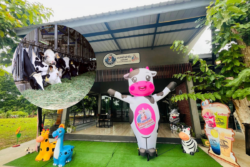 นมสหกรณ์ท้องถิ่น สู้แบรนด์ใหญ่ “แคนมิลค์-มวกเหล็ก แดรี่มิลค์” ปั้นนมโคแท้ 100%
