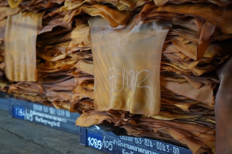 กยท.หั่นเป้ายาง EUDR เหลือ 9.08 หมื่นตัน ปิดช่องว่างดีมานด์จริง ดัน “Thai Traceability”