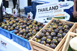พาณิชย์ชู “Thailand : The Land of Tropical Fruits” ดันรายได้เกษตรกร