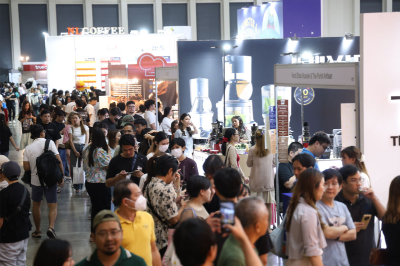 กาแฟสายพันธุ์ไทยฮิตไกล ดึงธุรกิจต่างชาติทุ่มซื้อราคาพรีเมี่ยม