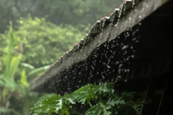 กรมอุตุฯ เตือน เหนือ-อีสานฝนตกหนักถึงหนักมาก กทม.ฝนฟ้าคะนอง 60% ของพื้นที่