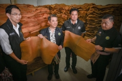 กยท.เร่งฐานข้อมูลยาง 1.4 ล้านราย รับกติกา EUDR รักษาตลาด EU