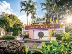 โพลมช. เผย Gen z ภาคเหนือฮิตอาชีพ “ไอที-AI” แซง “หมอ”