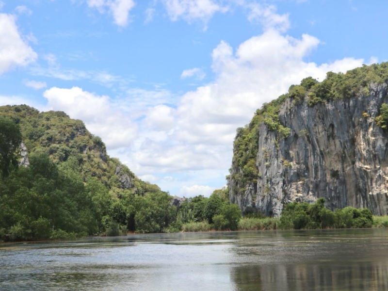 สัมปทานรังนกพัทลุง 500 ล้านไร้เอกชนยื่นซองประมูล จี้มหาดไทยปลดล็อกกฎหมาย ดันส่งออกจีน