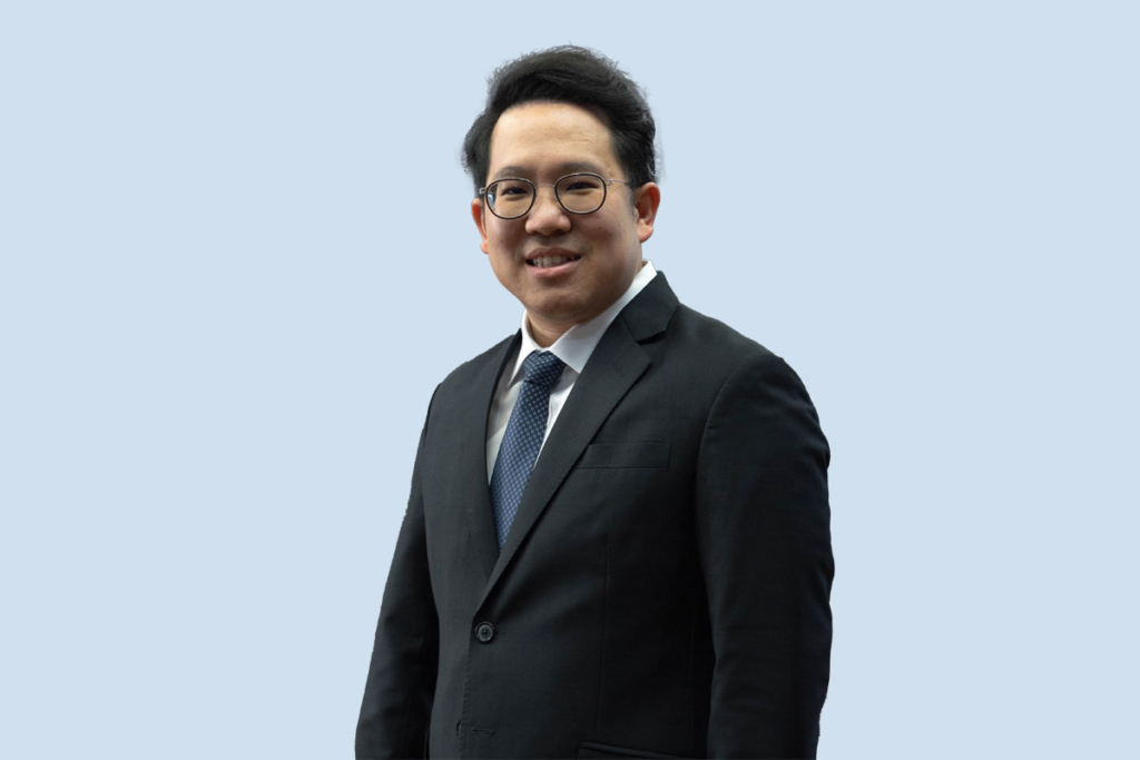 การเมือง