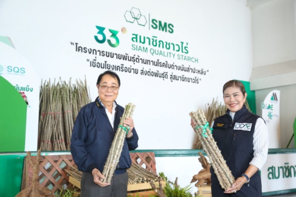 กลุ่มบริษัทSMS จัดงานมันดี มีคุณภาพฯ อบรมเกษตรกรผู้ปลูกมันสำปะหลัง จ.ชัยภูมิ