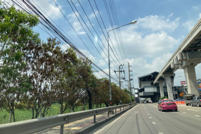 ‘สวนสยาม’ จากทุ่งนาสู่ทำเลทอง ‘บ้านหรู-ห้างใหม่’