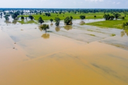 น้ำท่วมกระทบเกษตร 43 จังหวัด พื้นที่เสียหาย 1.66 ล้านไร่ ‘ข้าว’ หนักสุด 1.33 ล้านไร่