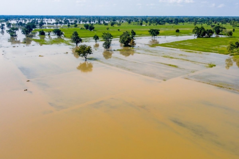 น้ำท่วมกระทบเกษตร 43 จังหวัด พื้นที่เสียหาย 1.66 ล้านไร่ ‘ข้าว’ หนักสุด 1.33 ล้านไร่
