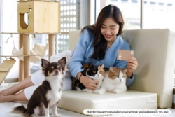 บัตรเครดิต กรุงศรี เจาะคนรักสัตว์เลี้ยง ดันยอดใช้แตะ 1,000 ล้าน