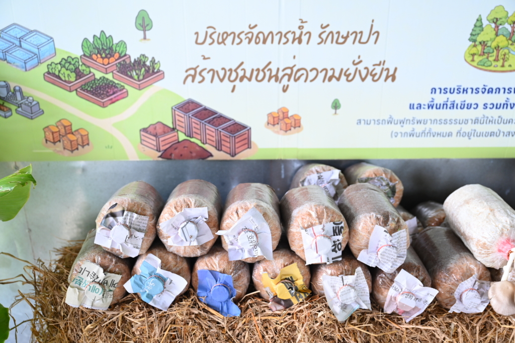 เชียงใหม่เชื่อมดิน-น้ำ-สุขภาพ ชุมชนห้วยม่วง