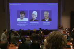 3 นักวิทย์คว้า ‘รางวัลโนเบล 2026’ สาขาการแพทย์เบิกทางยุคใหม่ประสาทวิทยา