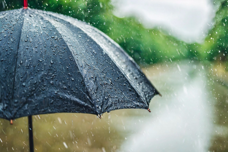 สภาพอากาศวันนี้ (4 ต.ค.) ไทยตอนบนฝนฟ้าคะนอง ลมกระโชกแรง ฝนตกหนักบางพื้นที่